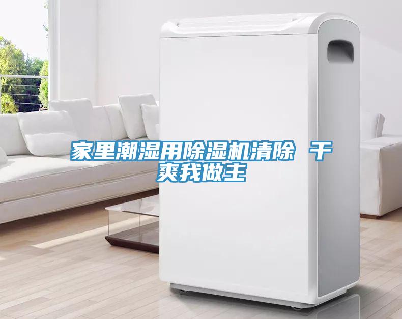 家里潮湿用91免费网站在线观看清除 干爽我做主