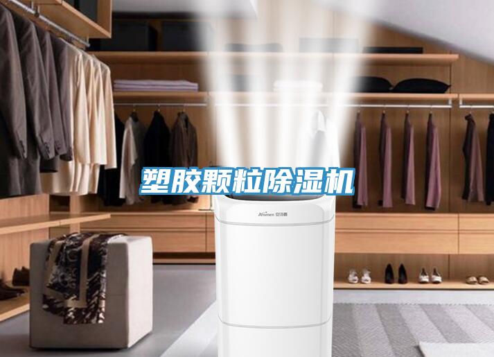 塑胶颗粒91免费网站在线观看