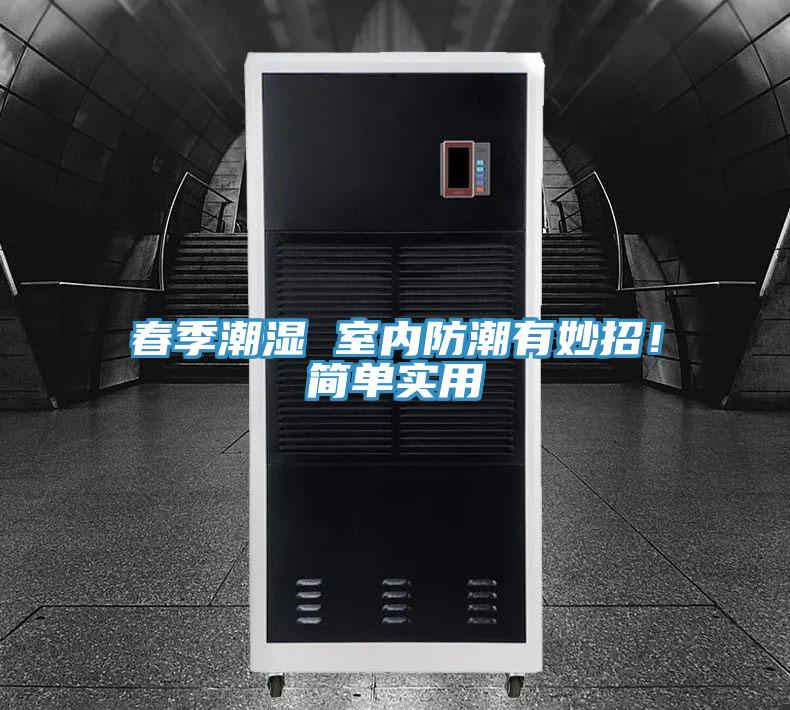 春季潮湿 室内防潮有妙招！简单实用