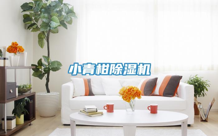 小青柑91免费网站在线观看