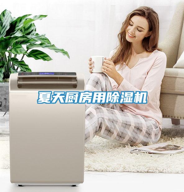 夏天厨房用91免费网站在线观看