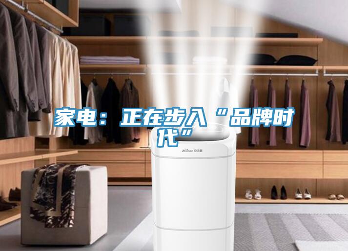 家电：正在步入“品牌时代”