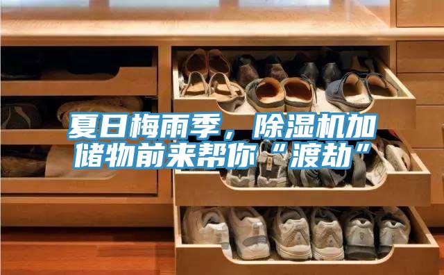 夏日梅雨季，91免费网站在线观看加储物前来帮你“渡劫”