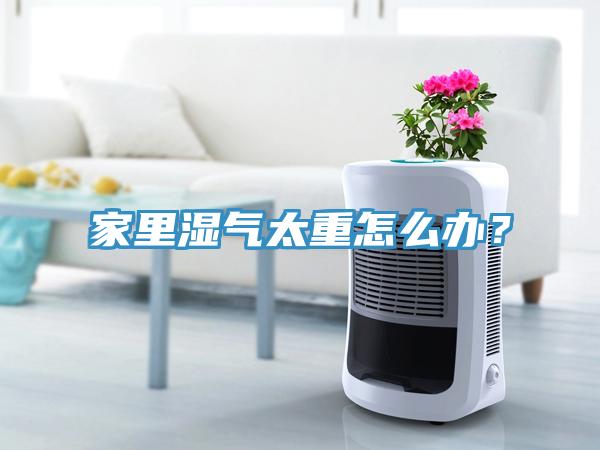 家里湿气太重怎么办？