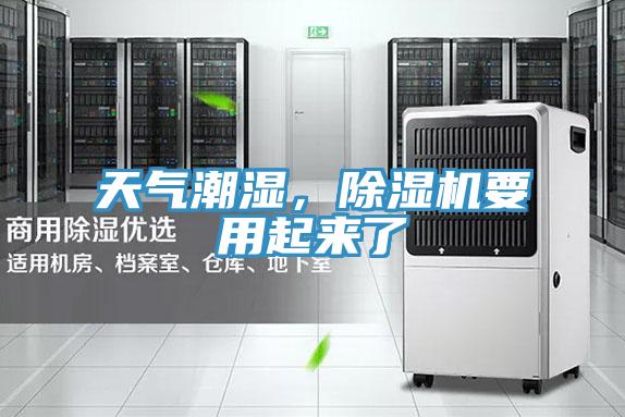 天气潮湿，91免费网站在线观看要用起来了
