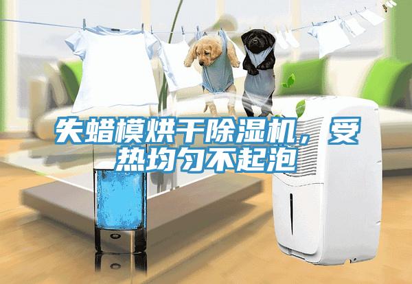 失蜡模烘干91免费网站在线观看，受热均匀不起泡