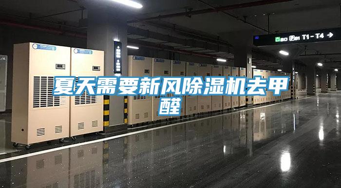 夏天需要新风91免费网站在线观看去甲醛
