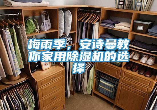 梅雨季，91免费看黄片教你家用91免费网站在线观看的选择