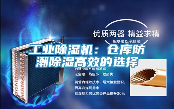 工业91免费网站在线观看：仓库防潮除湿高效的选择