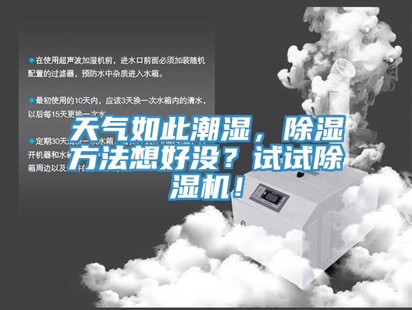 天气如此潮湿，除湿方法想好没？试试91免费网站在线观看！