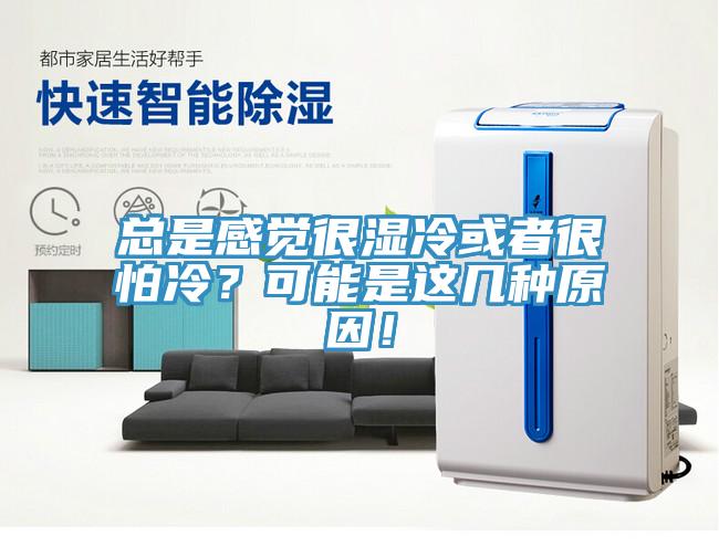 总是感觉很湿冷或者很怕冷？可能是这几种原因！