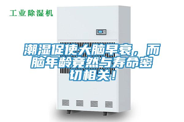 潮湿促使大脑早衰，而脑年龄竟然与寿命密切相关！