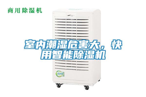 室内潮湿危害大，快用智能91免费网站在线观看