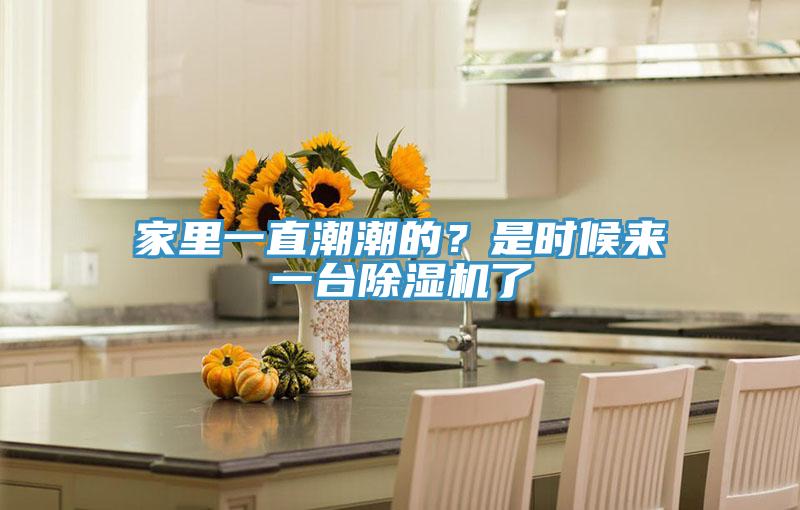 家里一直潮潮的？是时候来一台91免费网站在线观看了