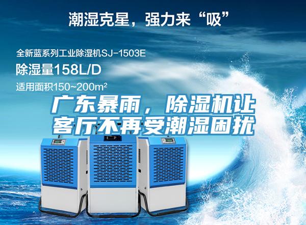 广东暴雨，91免费网站在线观看让客厅不再受潮湿困扰