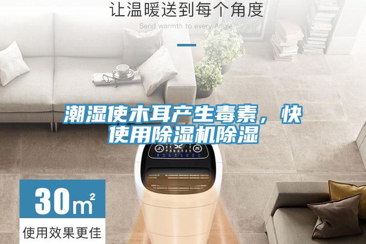 潮湿使木耳产生毒素，快使用91免费网站在线观看除湿