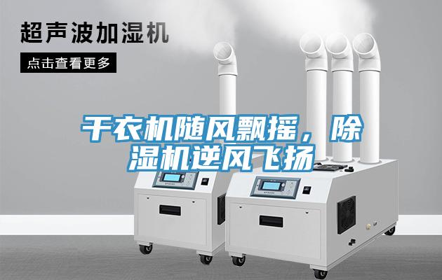 干衣机随风飘摇，91免费网站在线观看逆风飞扬