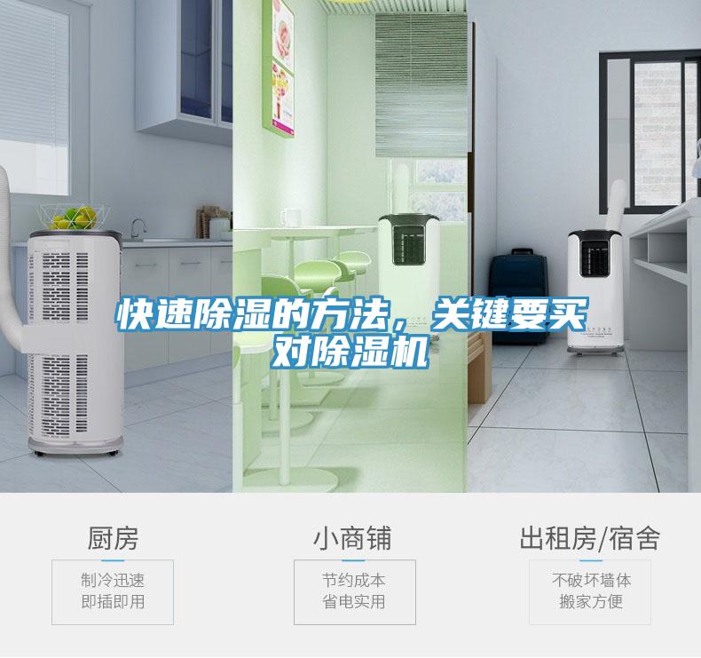 快速除湿的方法，关键要买对91免费网站在线观看