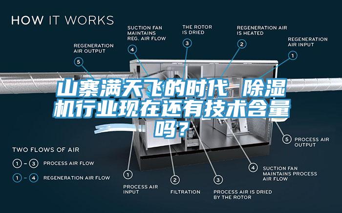 山寨满天飞的时代 91免费网站在线观看行业现在还有技术含量吗？
