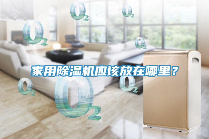 家用91免费网站在线观看应该放在哪里？