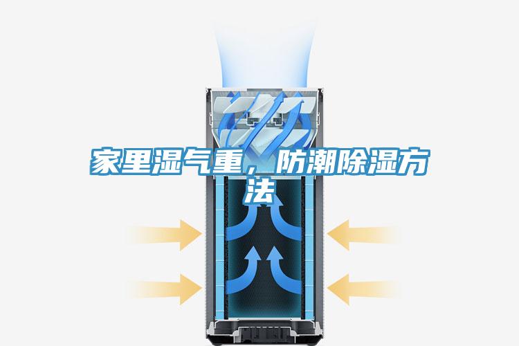 家里湿气重，防潮除湿方法
