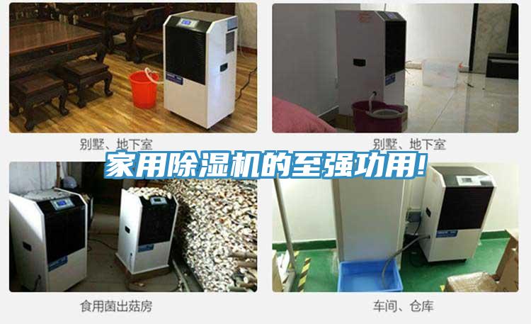 家用91免费网站在线观看的至强功用!