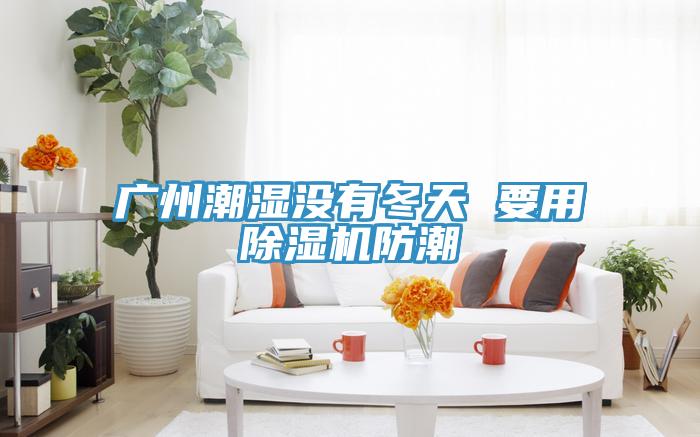 广州潮湿没有冬天 要用91免费网站在线观看防潮