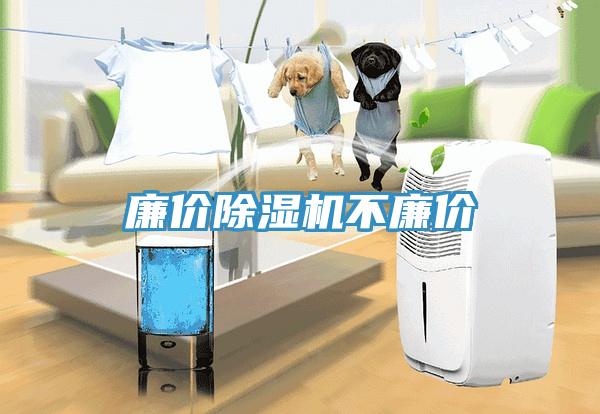 廉价91免费网站在线观看不廉价
