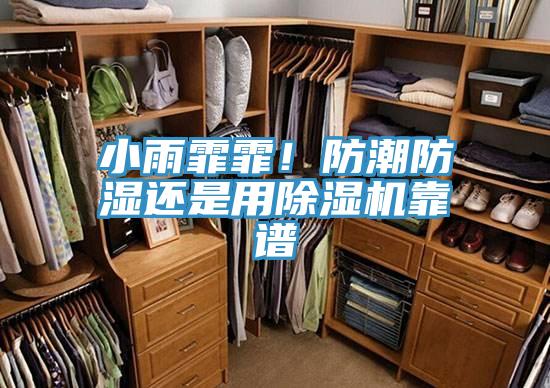 小雨霏霏！防潮防湿还是用91免费网站在线观看靠谱