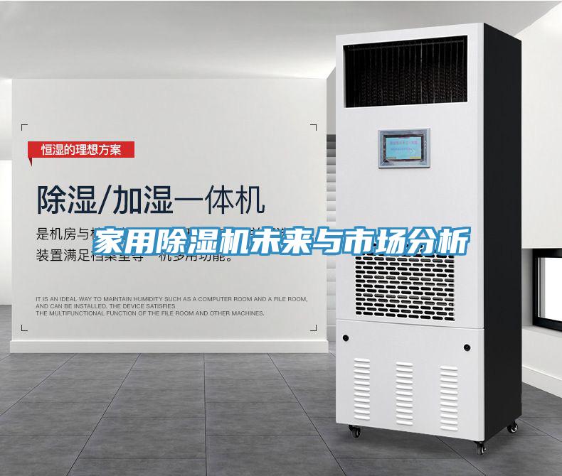家用91免费网站在线观看未来与市场分析
