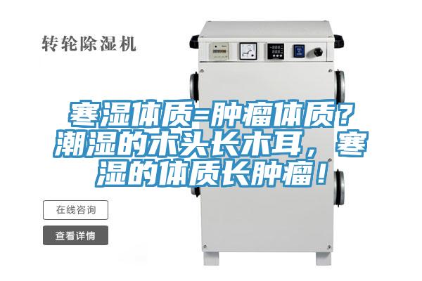 寒湿体质=肿瘤体质？潮湿的木头长木耳，寒湿的体质长肿瘤！