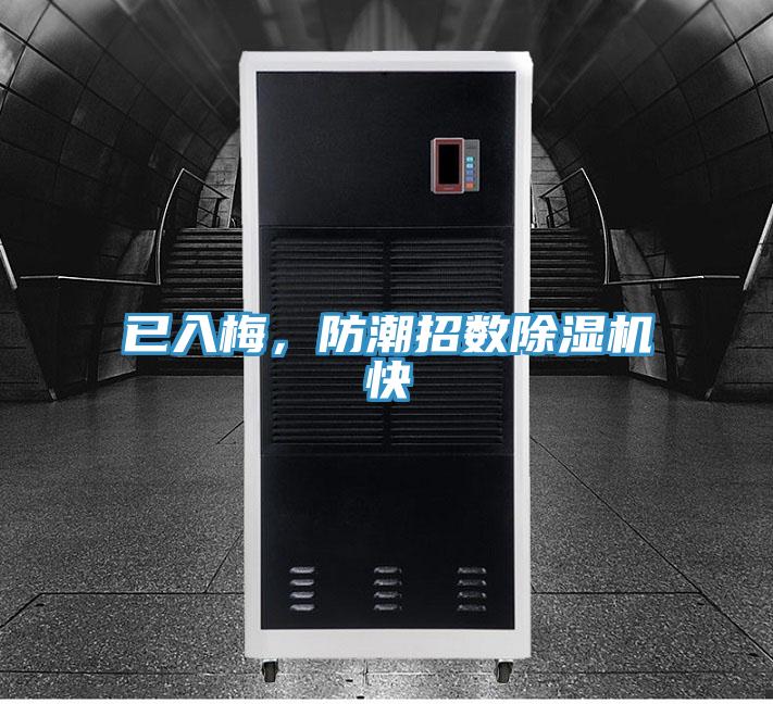 已入梅，防潮招数91免费网站在线观看快