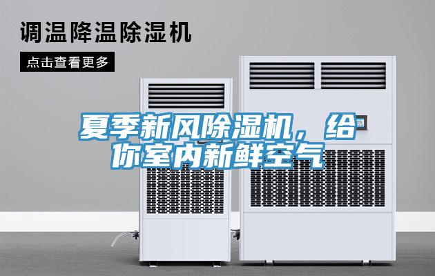 夏季新风91免费网站在线观看，给你室内新鲜空气