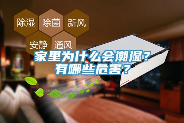 家里为什么会潮湿？有哪些危害？
