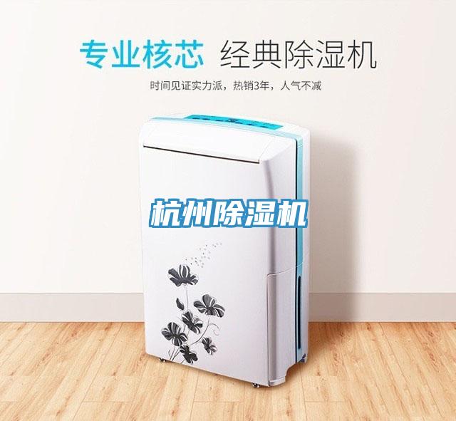 杭州91免费网站在线观看
