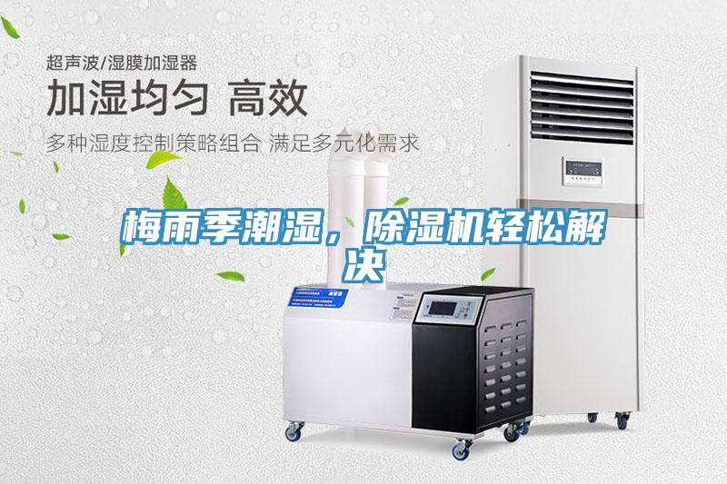 梅雨季潮湿，91免费网站在线观看轻松解决