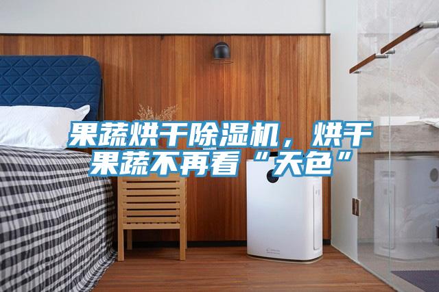 果蔬烘干91免费网站在线观看，烘干果蔬不再看“天色”