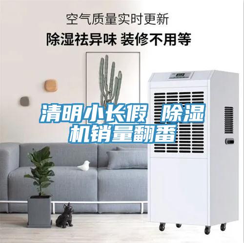 清明小长假 91免费网站在线观看销量翻番