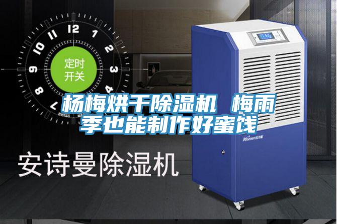 杨梅烘干91免费网站在线观看 梅雨季也能制作好蜜饯