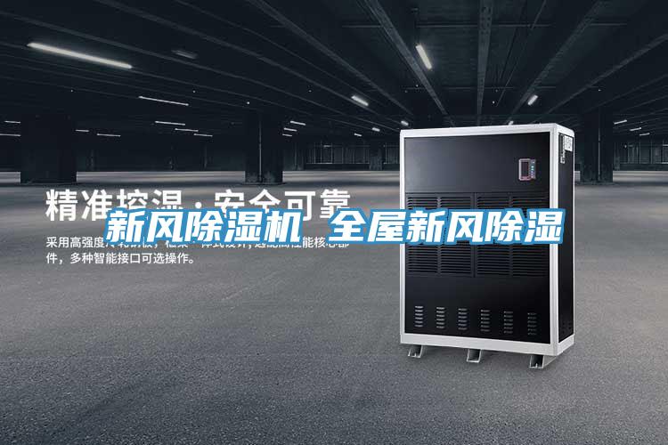 新风91免费网站在线观看 全屋新风除湿