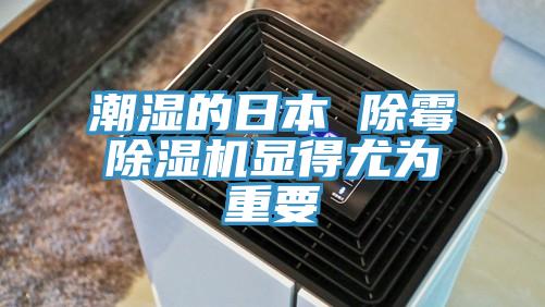 潮湿的日本 除霉91免费网站在线观看显得尤为重要