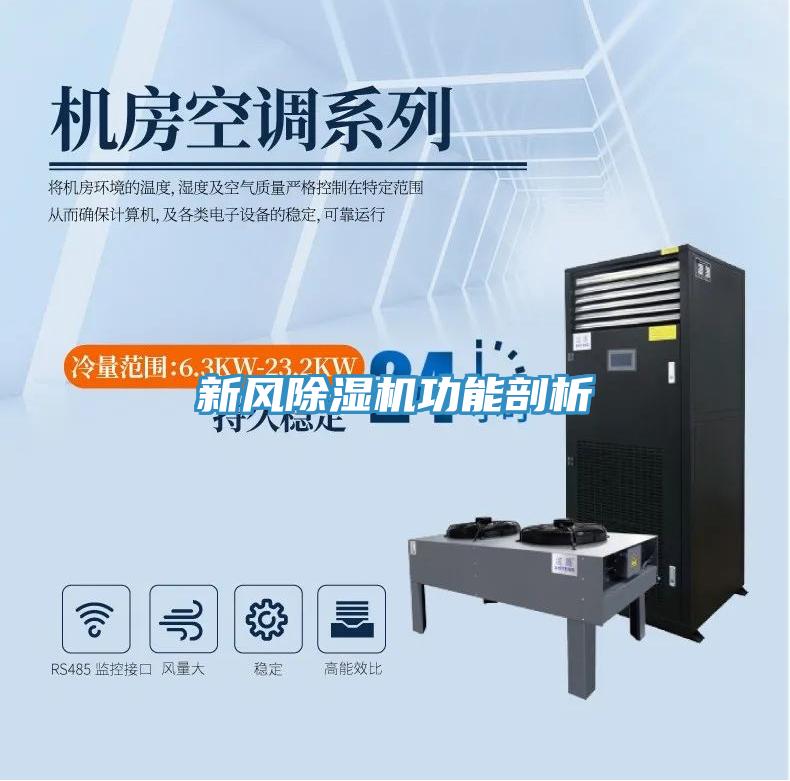 新风91免费网站在线观看功能剖析