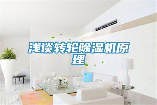 浅谈转轮91免费网站在线观看原理