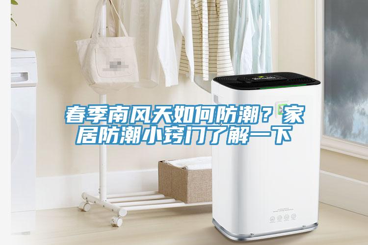 春季南风天如何防潮？家居防潮小窍门了解一下