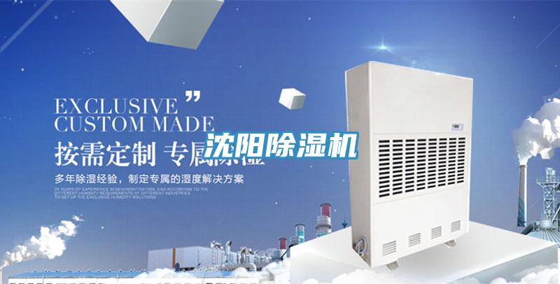 沈阳91免费网站在线观看