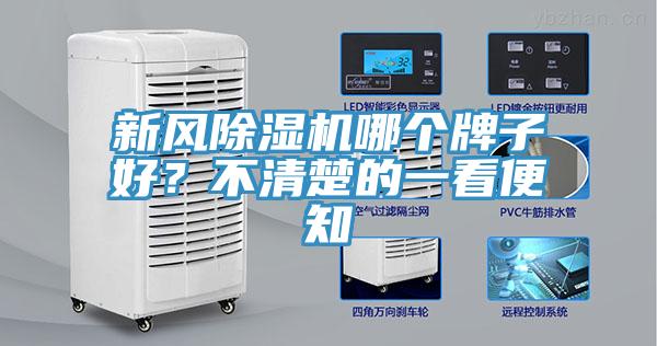 新风91免费网站在线观看哪个牌子好？不清楚的一看便知