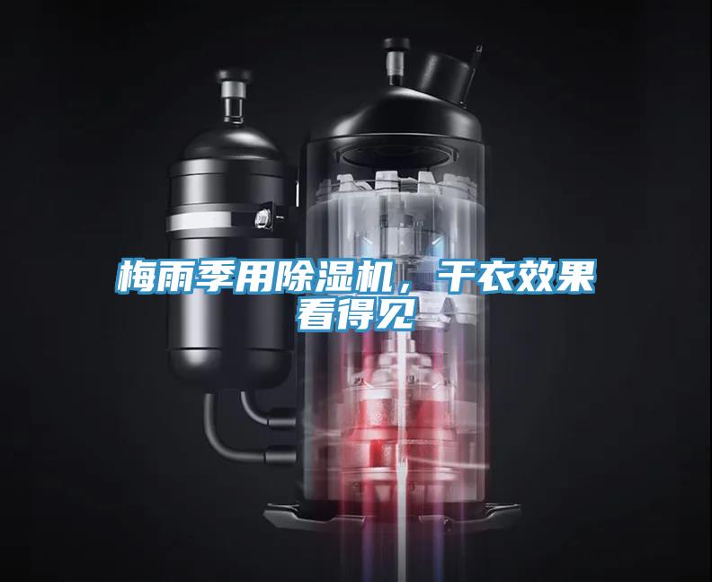 梅雨季用91免费网站在线观看，干衣效果看得见