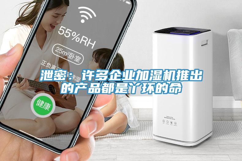 泄密：许多企业加湿机推出的产品都是丫环的命