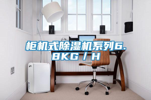 柜机式91免费网站在线观看系列6.8KG／H