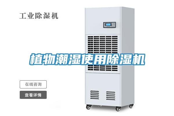 植物潮湿使用91免费网站在线观看